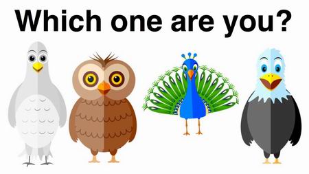bird personality test
